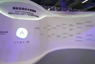 江蘇中理網(wǎng)絡(luò)科技 支付寶服務(wù)器意外中斷背后的互聯(lián)網(wǎng)銷售策略與風(fēng)險(xiǎn)管控