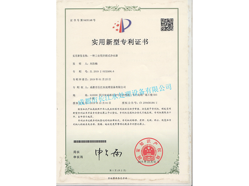 專利工業(yè)用并聯(lián)式凈水器